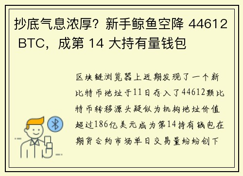 抄底气息浓厚？新手鲸鱼空降 44612 BTC，成第 14 大持有量钱包