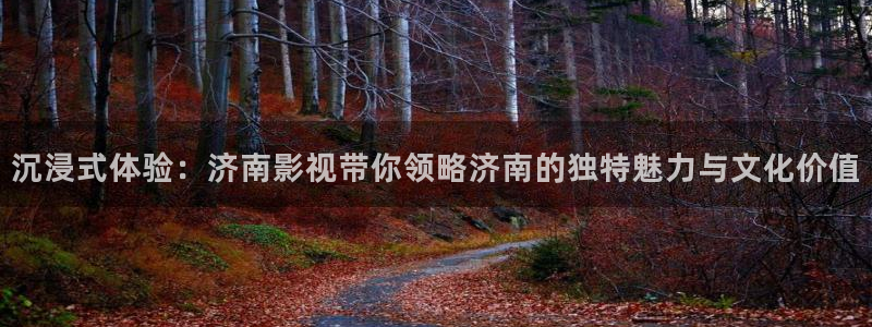 丝瓜视频. 下载：沉浸式体验：济南影视带你领略济南的独特魅力与文化价值