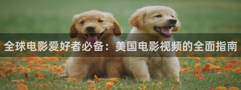 女生丝瓜视频：全球电影爱好者必备：美国电影视频的全面指南
