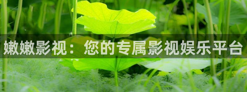 丝瓜视频女：嫩嫩影视：您的专属影视娱乐平台