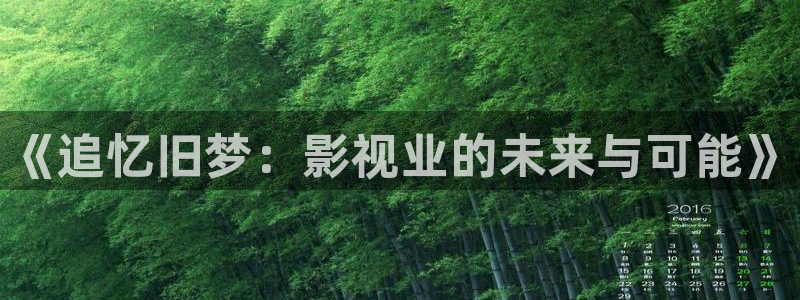 丝瓜官网在线：《追忆旧梦：影视业的未来与可能》