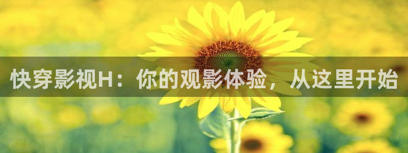 丝瓜视频里：快穿影视H：你的观影体验，从这里开始