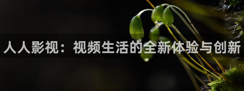 丝瓜视频成人在线下载：人人影视：视频生活的全新体验与创新