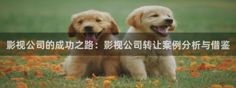 丝瓜视频xyz：影视公司的成功之路：影视公司转让案例分析与借鉴